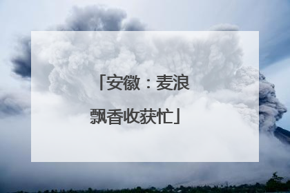 安徽：麦浪飘香收获忙